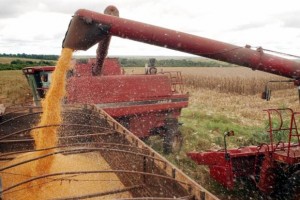 Preço baixo das terras e proximidade de portos exportadores têm atraído cada vez mais agricultores para a região do MatopibaImagem de arquivo/Agência Brasil 